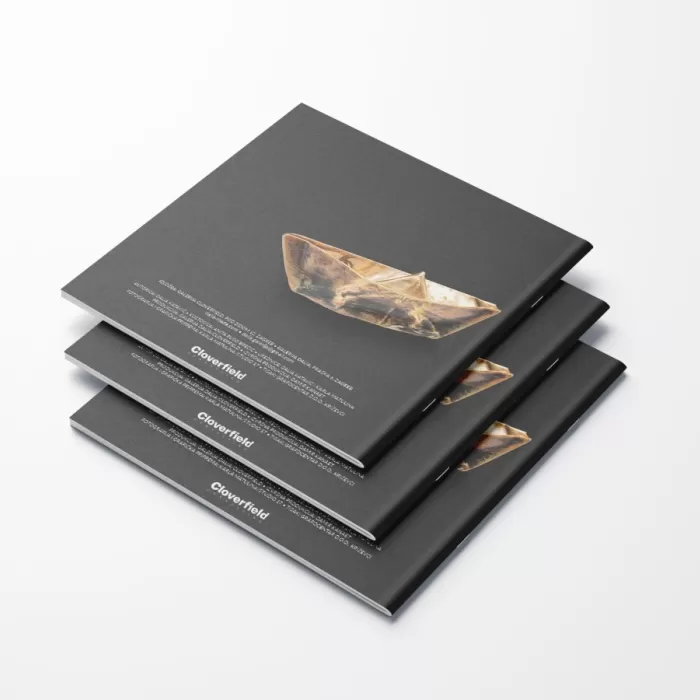 Dizajn kataloga i vizuala za izložbu Dalije Katavić u galeriji Cloverfield